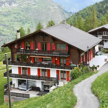 Cozy In Near Forest *