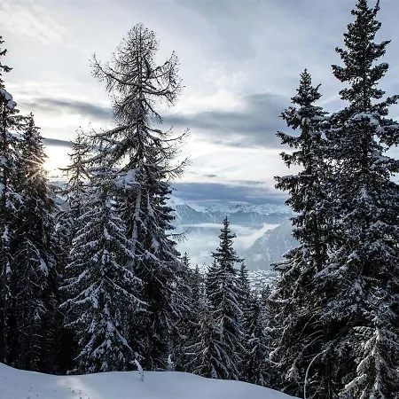 Cozy In Near Forest *